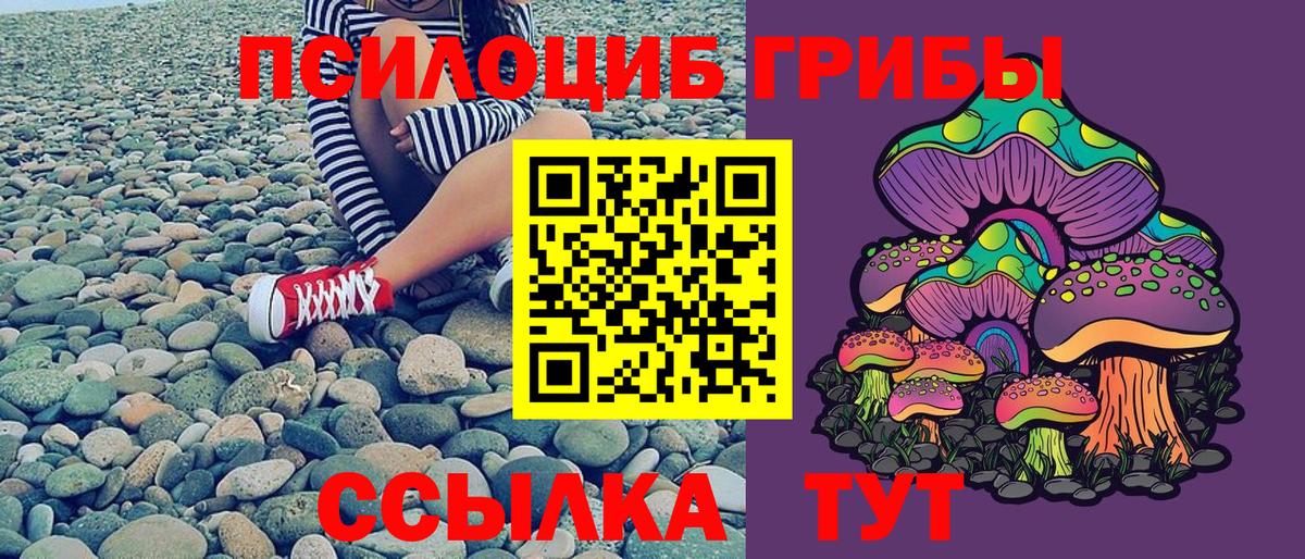 Галлюциногенные грибы Cubensis Кубинка
