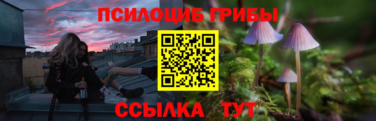 Псилоцибиновые грибы мухоморы  Галлюциногенные грибы GOLDEN TEACHER  купить закладку  Кубинка  Вход с VPN 